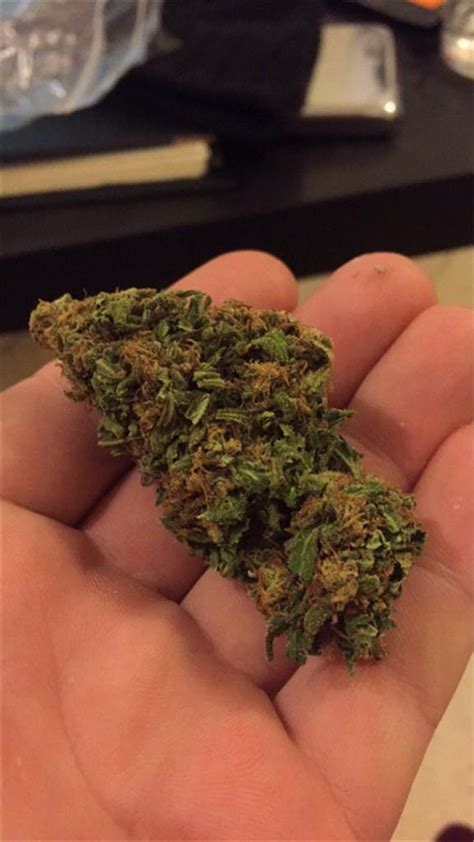 Bred by Green House Seeds, The <strong>Doctor</strong> is an indica-dominant <strong>strain</strong> designed to treat a myriad of unpleasant symptoms such as pain, nausea, appetite loss,. . Dr ako strain